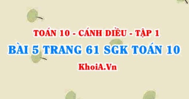 Bài 5 trang 61 SGK Toán 10 tập 1 Cánh Diều